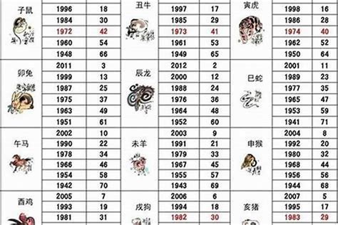 49年屬什麼|49岁属什么生肖